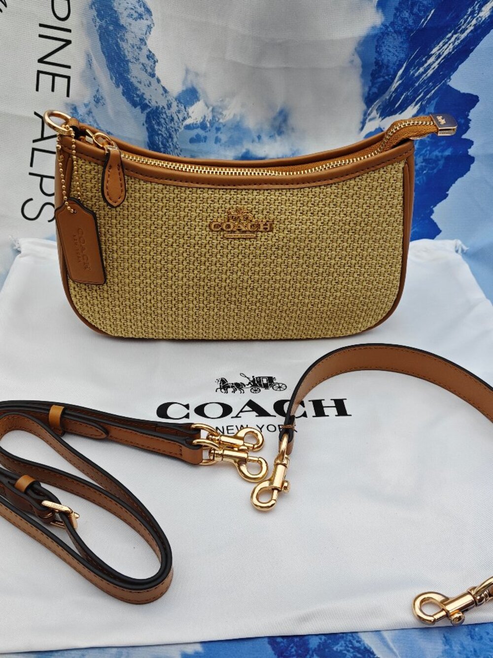 Coach Teri Straw Shoulder Bag